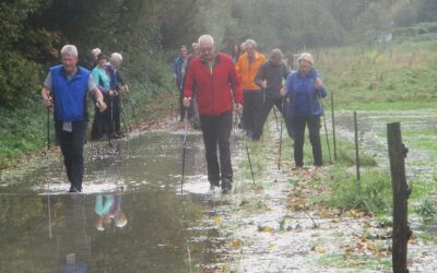 News Nordic Walking